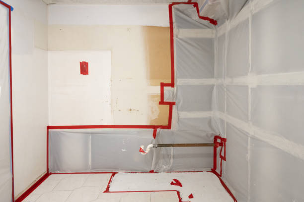 Best Environmental Consulting for Mold Prevention  in Lifornia City, CA