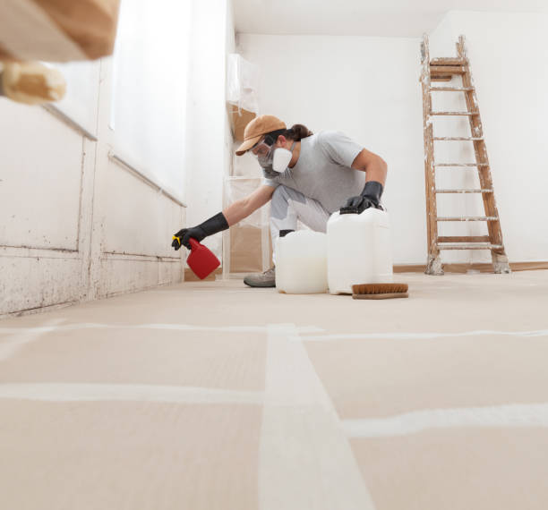 Best Mold Prevention Services  in Lifornia City, CA